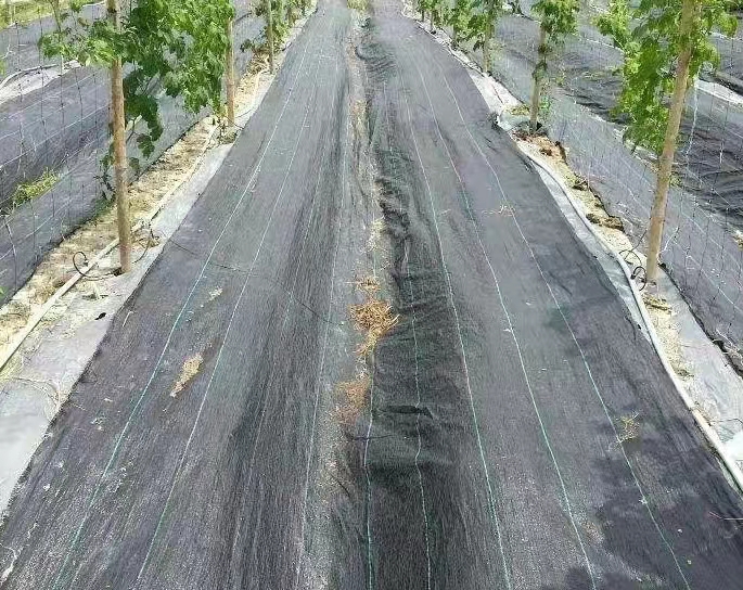 防草布的用途及效果防草布又称之为“园林地布”、“杂草抑 制席”、“抑草布”，是一种纵横编织的塑料编织布，透气性好、渗水快、防水 治杂草生长的一种园艺和农业用地面防草布。可以有 效抑制各种杂草的生长，由于这种地面防草布的透气性好，渗水快，使得植物根部的吸收水分能力得到提高，有益于植物的生长，防止根部腐烂，单相线标志的设置，使的在温室内或室外摆放花盆或安排栽培基质时，可根据标志线来准确进行安排，提高劳