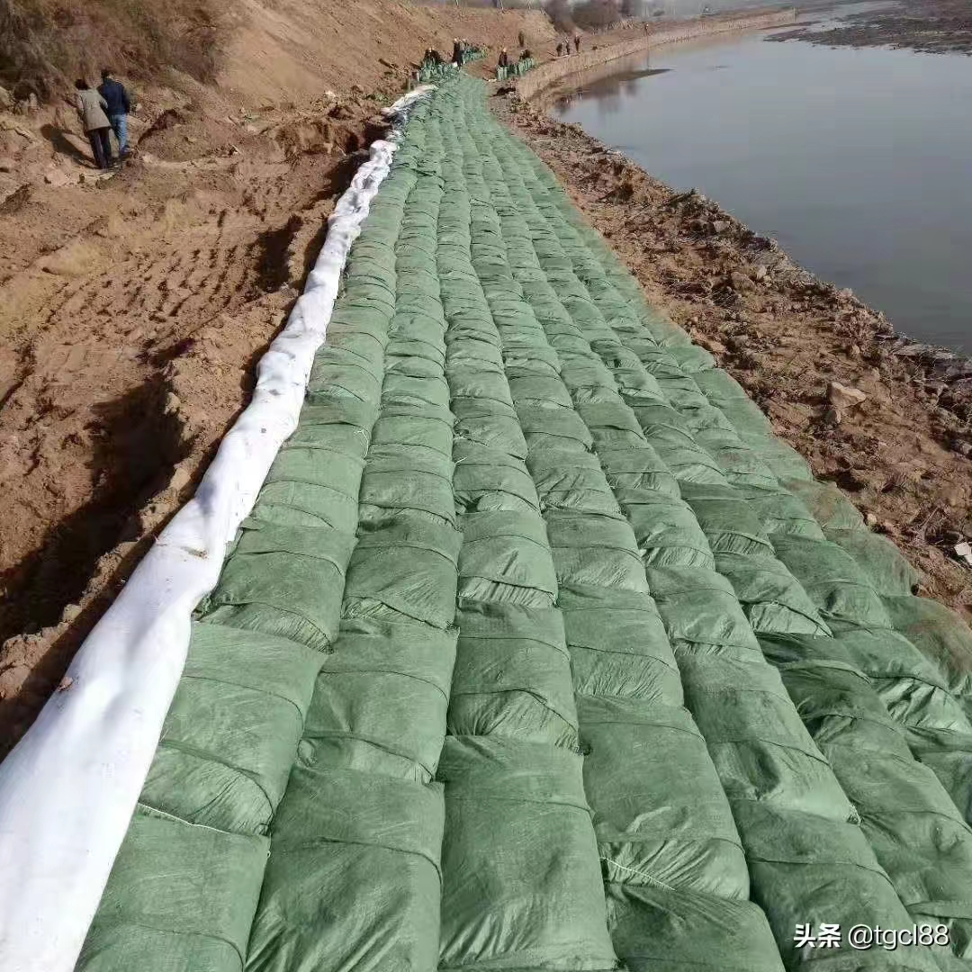 生态带的功能和用途